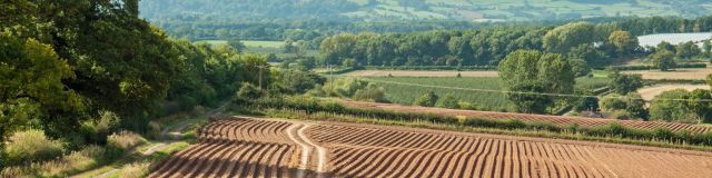 Agriculture